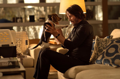 John Wick and his avenged puppy