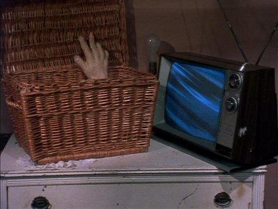 What is in the basket?