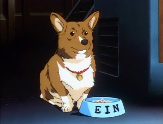 Ein is hungry